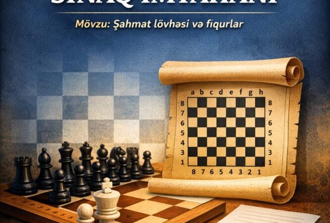 WhatsApp Image 2026-02-11 at 22.02.19